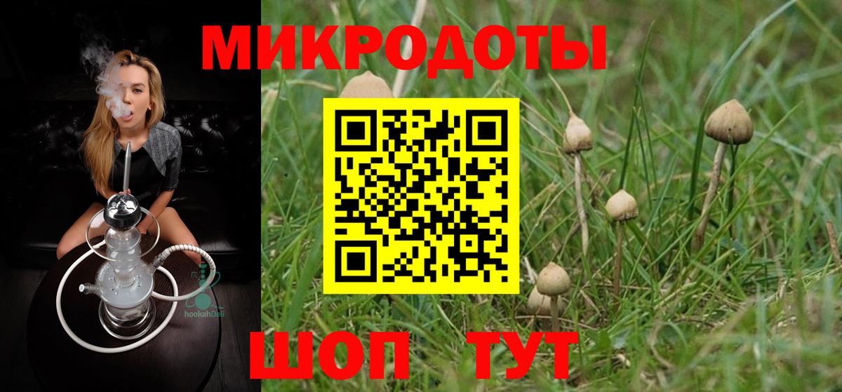 Майкоп  Псилоцибиновые грибы MAGIC MUSHROOMS  Вход с VPN  Галлюциногенные грибы прущие грибы 